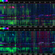A spectrogram of the forest sounds from Musiamunat in Papua New Guinea.